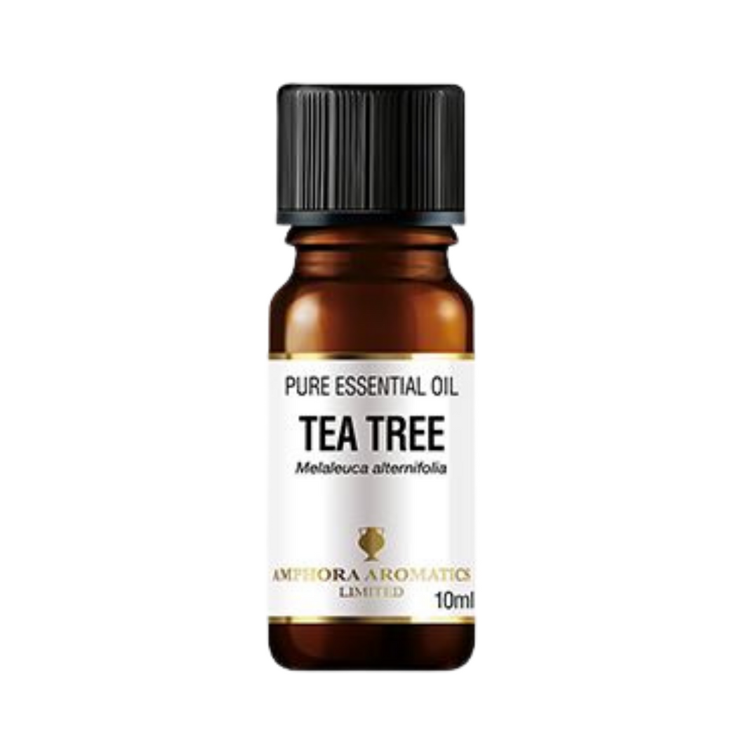 Aromatherapy Essential Oil : Tea Tree Essential Oil 10ml